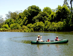 Canoe on the Kalang River